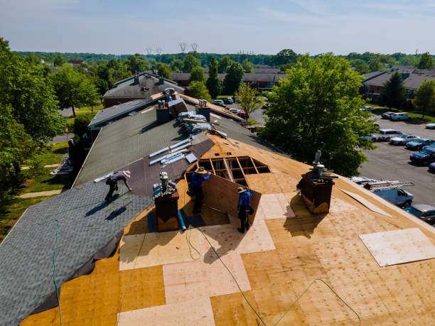 Trusted Gutter Installation service in New Zion, SC - Brentwood Metal Roofing